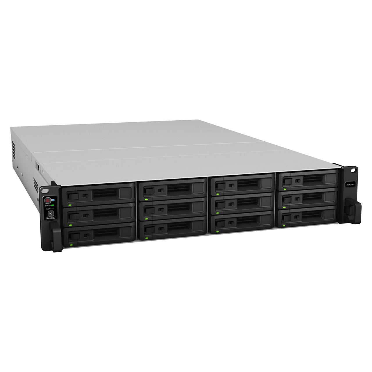Synology RackStation RS3621XS+ SAN/NAS Storage System